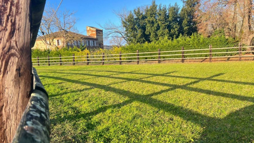 Photos 3 - Équestre - Propriété équestre de 5 hectares (82)