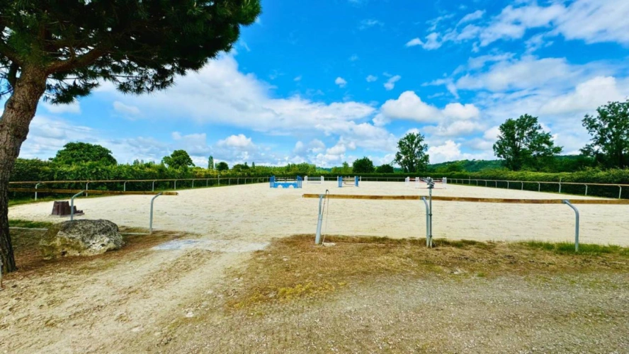 Photos 4 - Équestre - Propriété équestre de 5 hectares (82)