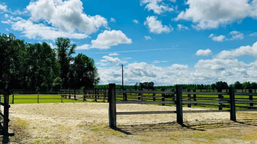 Photos 10 - Équestre - Propriété équestre de 5 hectares (82)