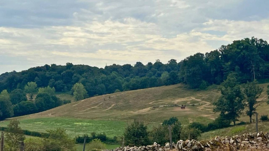 Photos 3 - Équestre - Propriété équestre de 32 hectares (46)