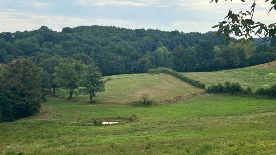 Photos 9 - Équestre - Propriété équestre de 32 hectares (46)