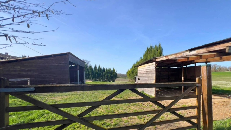 Photos 3 - Équestre - Propriété équestre de 4 hectares (81)