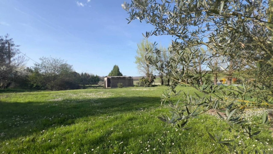 Photos 8 - Équestre - Propriété équestre de 4 hectares (81)