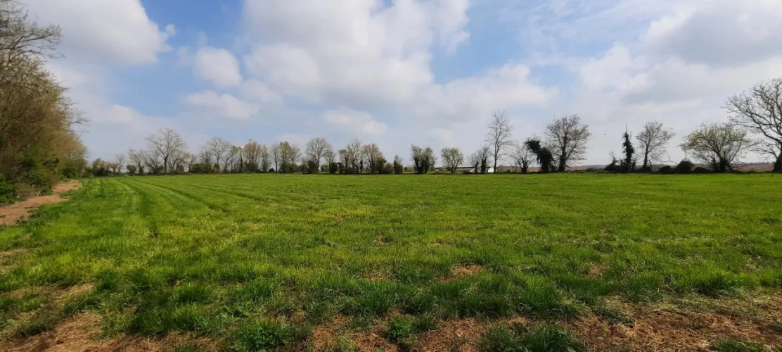 Photos 2 - Équestre - Propriété idéale chevaux- 2,2 ha – 10 mn FONTENAY LE COMTE (85)