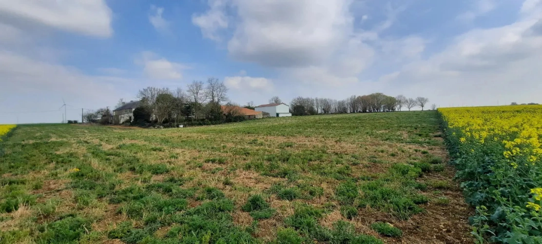 Photos 10 - Équestre - Propriété idéale chevaux- 2,2 ha – 10 mn FONTENAY LE COMTE (85)