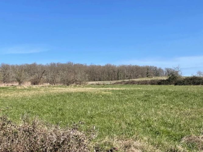 Photos 2 - Équestre - Propriété sur 9,5 ha idéale chevaux et gîte - Périgord