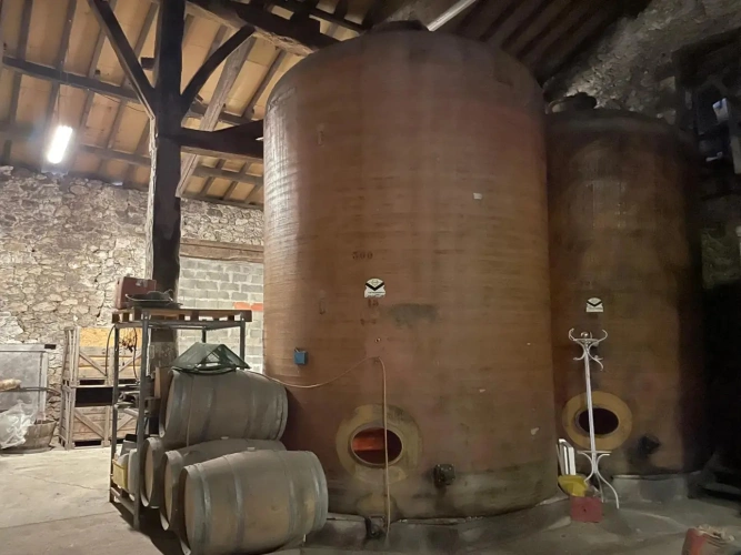 Photos 9 - Équestre - Propriété sur 9,5 ha idéale chevaux et gîte - Périgord