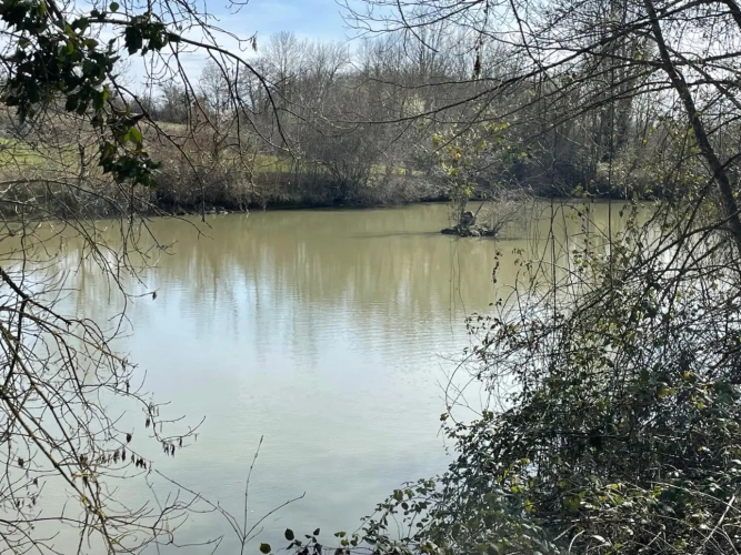 Photos 11 - Équestre - Propriété sur 9,5 ha idéale chevaux et gîte - Périgord