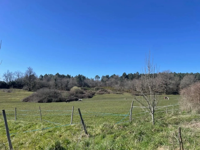 Photos 2 - Équestre - Propriété équestre 15 mn de CHALAIS (17) sur 30 ha