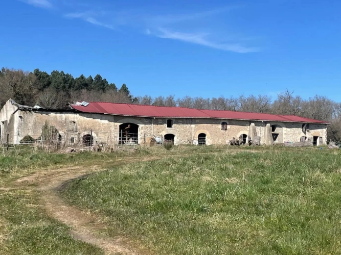 Photos 9 - Équestre - Propriété équestre 15 mn de CHALAIS (17) sur 30 ha