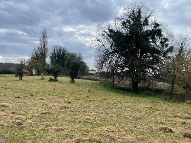 Photos 8 - Équestre - Propriété de 174 m² idéale pour chevaux sur 1,6 ha