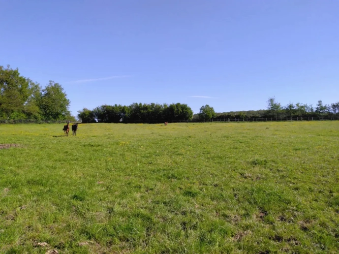Photos 3 - Équestre - STRUCTURE POUR PROFESSIONNELS DES CHEVAUX SUR 31 HA