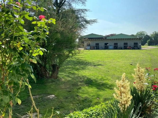 Photos 3 - Équestre - Propriété équestre à fort potentiel