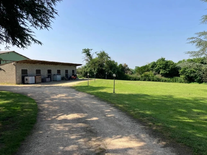 Photos 4 - Équestre - Propriété équestre à fort potentiel