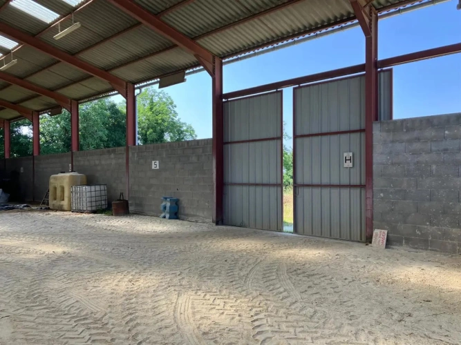 Photos 7 - Équestre - Propriété équestre à fort potentiel