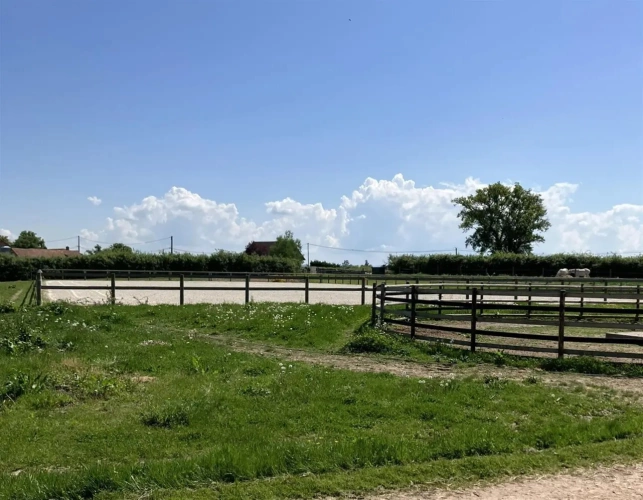 Photos 1 - Équestre - Magnifique propriété d'élevage et de valorisation de chevaux