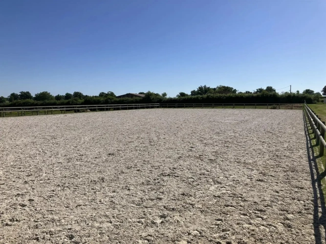 Photos 2 - Équestre - Magnifique propriété d'élevage et de valorisation de chevaux