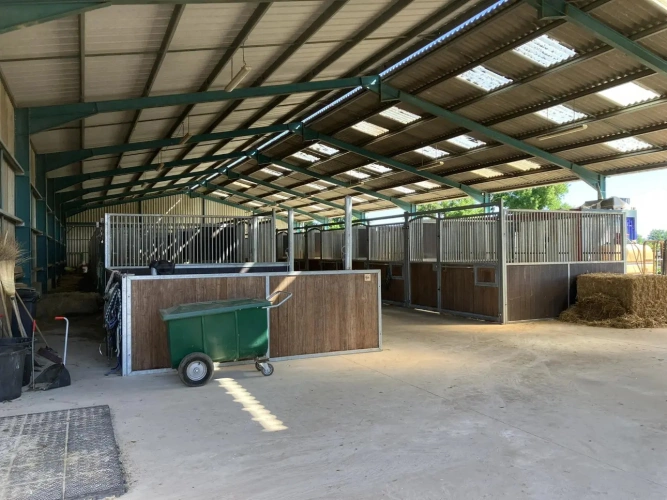 Photos 5 - Équestre - Magnifique propriété d'élevage et de valorisation de chevaux