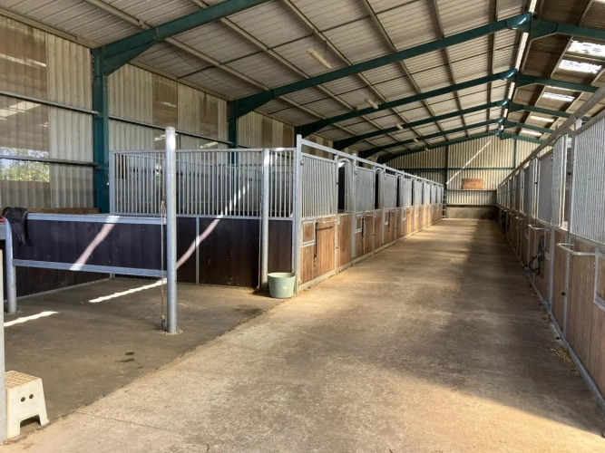 Photos 6 - Équestre - Magnifique propriété d'élevage et de valorisation de chevaux