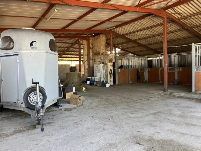 Photos 7 - Équestre - Magnifique propriété d'élevage et de valorisation de chevaux