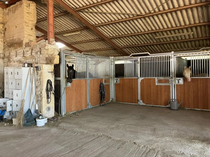 Photos 8 - Équestre - Magnifique propriété d'élevage et de valorisation de chevaux