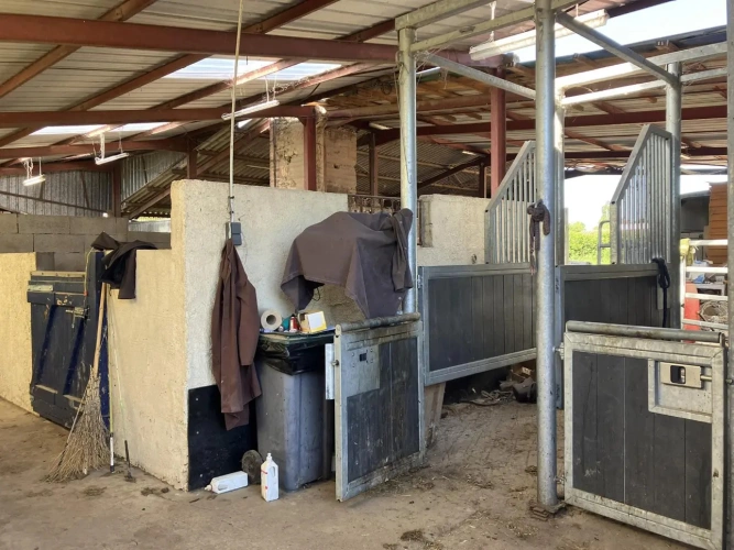 Photos 9 - Équestre - Magnifique propriété d'élevage et de valorisation de chevaux