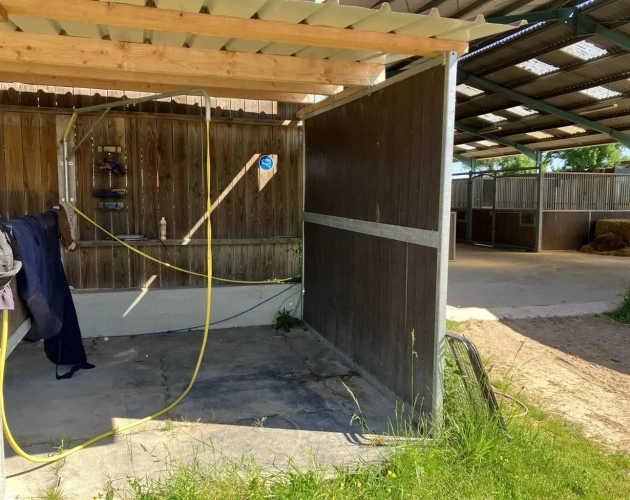 Photos 11 - Équestre - Magnifique propriété d'élevage et de valorisation de chevaux