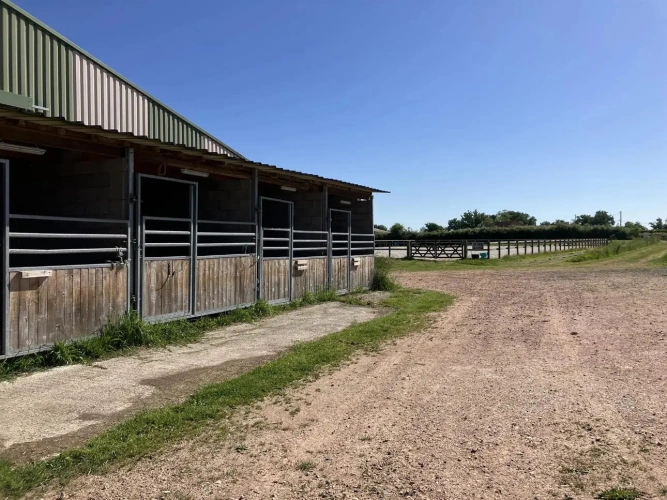 Photos 12 - Équestre - Magnifique propriété d'élevage et de valorisation de chevaux