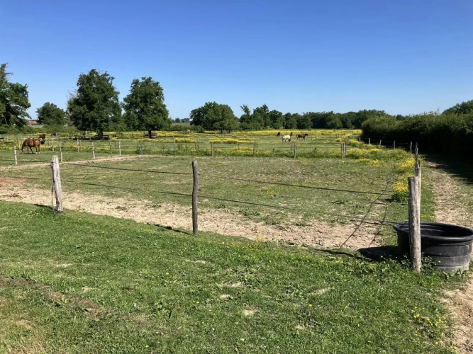 Photos 13 - Équestre - Magnifique propriété d'élevage et de valorisation de chevaux