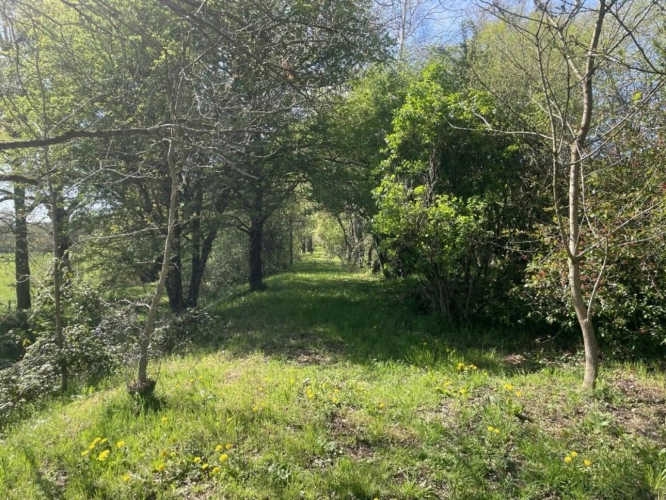 Photos 5 - Touristique - ALLIER