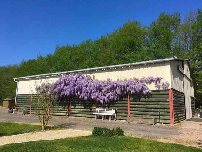 Photos 18 - Équestre - Maison
