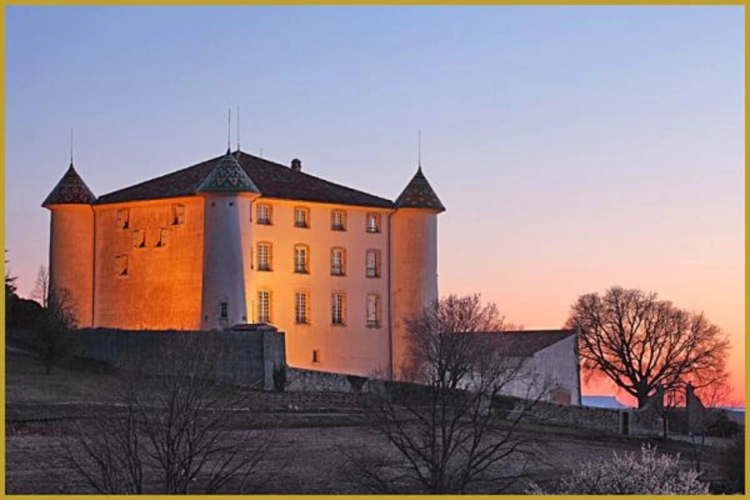 Photos 4 - Prestige - CHATEAU AVEC VUE PANORAMIQUE