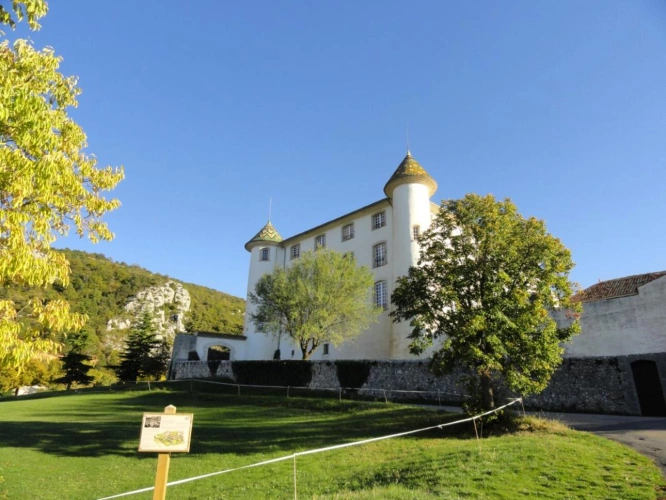 Photos 5 - Prestige - CHATEAU AVEC VUE PANORAMIQUE