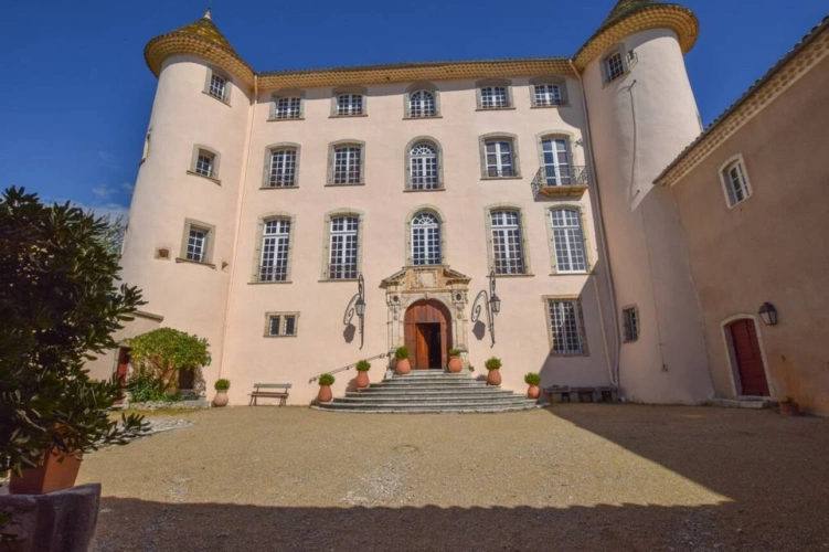 Photos 8 - Prestige - CHATEAU AVEC VUE PANORAMIQUE