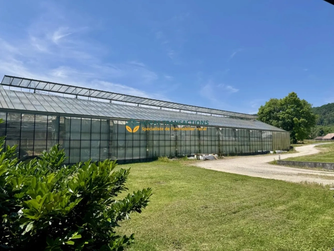 Photos 4 - Agricole - Exploitation horticole/maraîchère avec maison d’habitation sur plus de 4 hectares