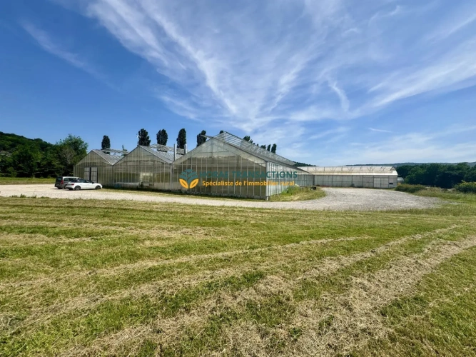 Photos 5 - Agricole - Exploitation horticole/maraîchère avec maison d’habitation sur plus de 4 hectares