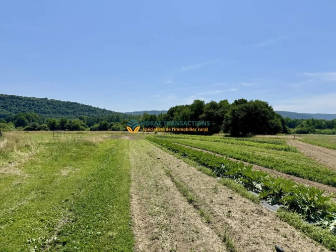 Photos 7 - Agricole - Exploitation horticole/maraîchère avec maison d’habitation sur plus de 4 hectares