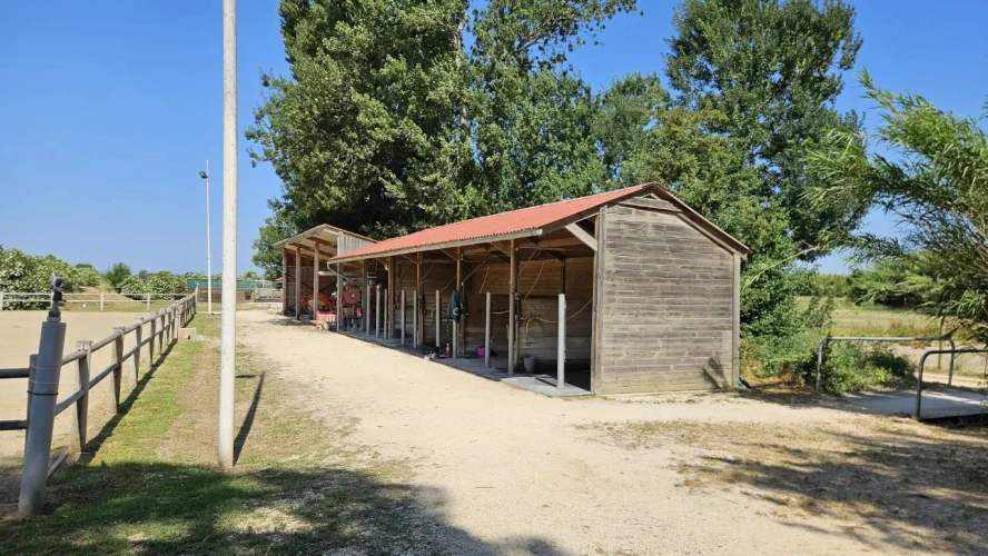 Photos 3 - Équestre - Ecurie de propriétaires au soleil