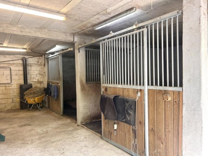 Photos 24 - Équestre - RARE PROPRIÉTÉ ÉQUESTRE SUR 11 796 m² - Auriol (13)