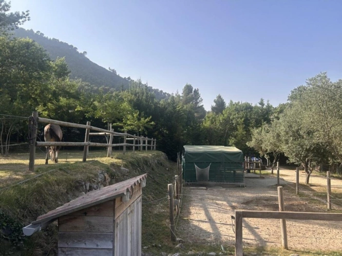 Photos 26 - Équestre - RARE PROPRIÉTÉ ÉQUESTRE SUR 11 796 m² - Auriol (13)