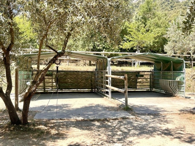 Photos 28 - Équestre - RARE PROPRIÉTÉ ÉQUESTRE SUR 11 796 m² - Auriol (13)