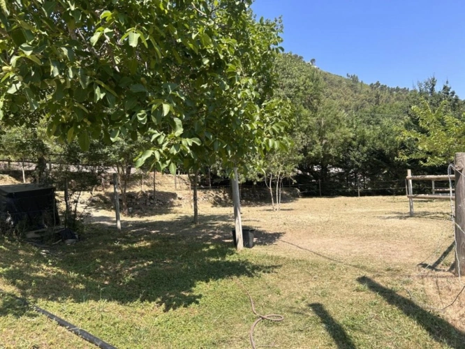 Photos 29 - Équestre - RARE PROPRIÉTÉ ÉQUESTRE SUR 11 796 m² - Auriol (13)