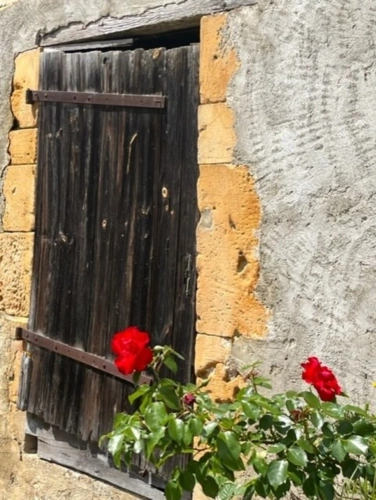 Photos 25 - Touristique - Dpt Gers (32), à vendre PLAISANCE et RISCLE proche, authentique PROPRIETE RURALE, ancienne ferme,  sur 3ha bio  AVEC geothermie, ancien chais