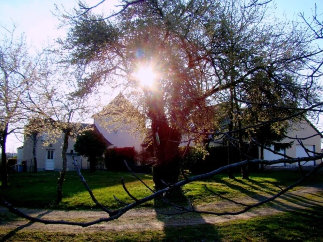 Photos 11 - Touristique - Dpt Nièvre (58), COULANGES les NEVERS belle propriété atypique sans vis à vis de 18 pièces 406m² habitables