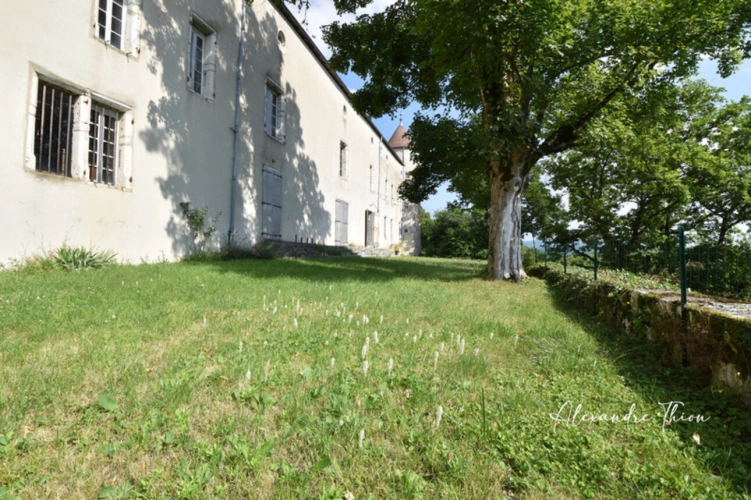Photos 15 - Prestige - Maison à vendre 23 pièces JUJURIEUX (01)