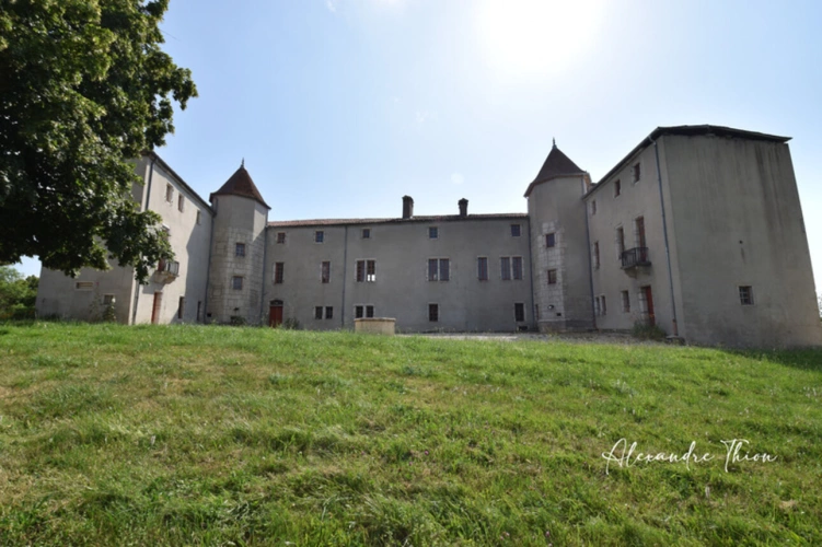 Photos 38 - Prestige - Maison à vendre 23 pièces JUJURIEUX (01)