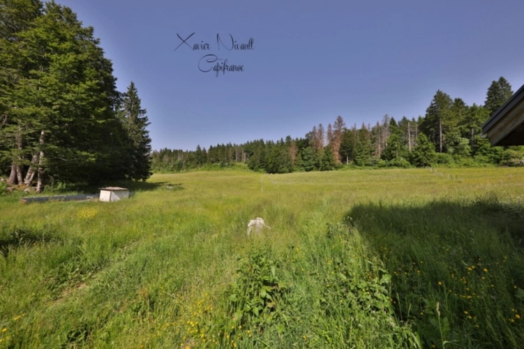 Photos 1 - Touristique - Propriete à vendre 15 pièces LE GRAND ABERGEMENT (01)