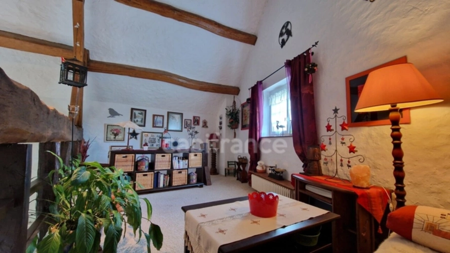 Photos 15 - Touristique - Dpt Essonne (91), à vendre proche de Méréville propriété 8 pièces avec maisonnette, jardin clos, cave et garage