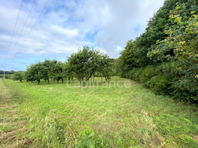 Photos 2 - Agricole - Terrain non constructible 12 000 m² avec verger – Nivillac (56130)