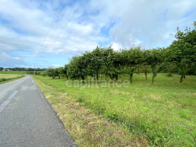 Photos 4 - Agricole - Terrain non constructible 12 000 m² avec verger – Nivillac (56130)